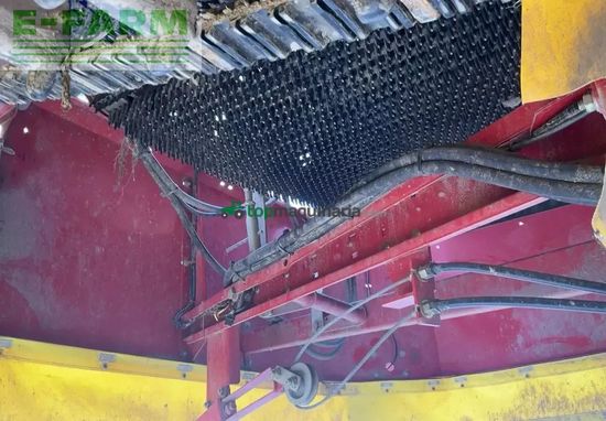 Cosechadora - arrancadora de patata - Grimme - 85-55