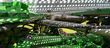 Cosechadora de Cereal - John Deere - 8500