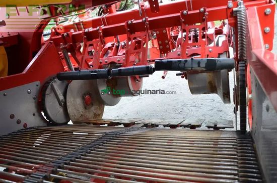 Cosechadora - arrancadora de patata - Grimme - evo 280 clodsep nonstop