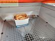 Esparcidor - Landgut - ks herkules 884h inox-fstb