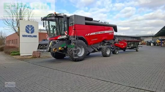 Cosechadora de Cereal - Massey Ferguson - mf 7380 centora al