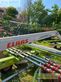 Rastrillo - Claas - liner 800