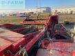 Cosechadora - arrancadora de patata - Grimme - 150-60