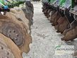 Grada de disco -  - astat 300