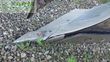 Arado - Gregoire Besson - ry7 514160
