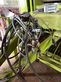 Empacadora gigant - Claas - rollant 255 rc