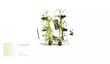 Henificador - Claas - volto 700 grenzstreutuch