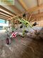Rastrillo - Claas - liner 1250