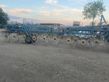 Rastrillo Doblas de 9.5 m