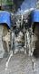 Tractor agrícola - New Holland - t7.225 ac n°1