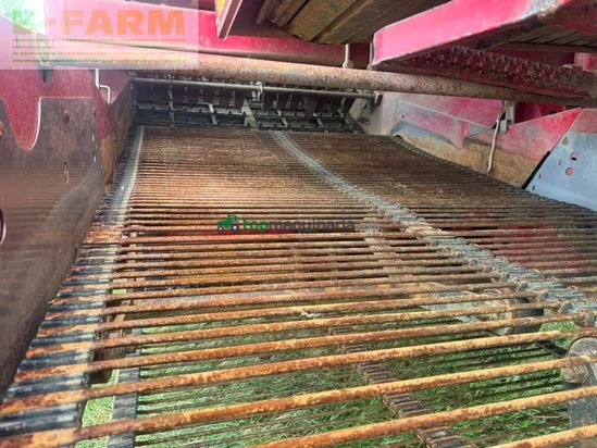 Cosechadora - arrancadora de patata - Grimme - se 150 - 60 ub