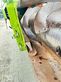 Cosechadora de Cereal - Claas - lexion 600