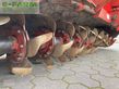 Grada rotativa - Maschio - g 275 mit zahnpackerwalze