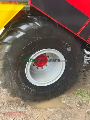 Cosechadora - arrancadora de patata - Grimme - evo 290 clodsep