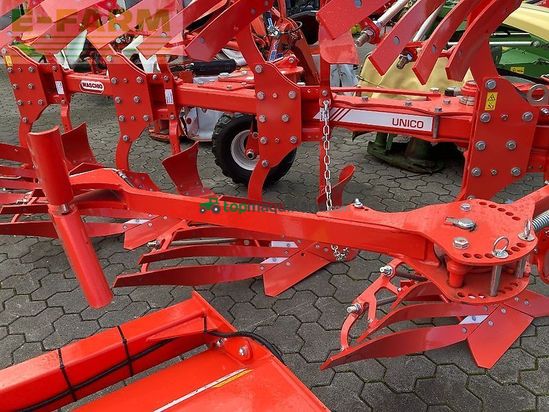 Arado - Maschio - unico m passo 4