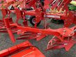Arado - Maschio - unico m passo 4