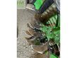 Grada rotativa - AVR - ge force hd 8x75