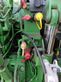 Tractor agrícola - John Deere - 6215r # pto