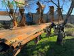 Arado -  - charrue