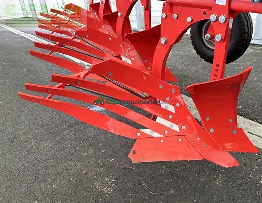 Arado - Maschio - unico m passo 4+ non stop