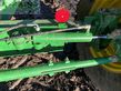 Cosechadora de Cereal - John Deere - w650