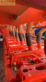 Grada rotativa - Maschio - dm4000p500