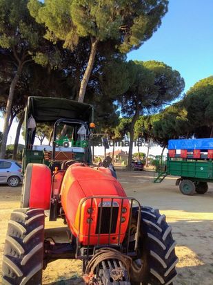 Tractor agrícola - Same - Argón 3  80. DT E3