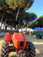 Tractor agrícola - Same - Argón 3  80. DT E3