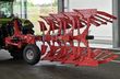 Arado - Maschio - unico m passo 4+ non stop