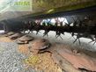 Cortacésped manual - Claas - DISCO 3100 FC PROFIL