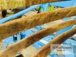 Arado - Lemken - juwel 8 v5n100