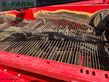 Cosechadora - arrancadora de patata - Grimme - gt 170