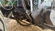 Empacadora gigant - Fendt - rotana 160 v