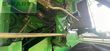 Cosechadora de Cereal - John Deere - T670