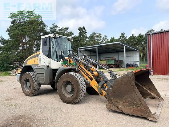 Minicargadora - Liebherr - 524