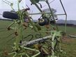 Henificador - Claas - VOLTO 770