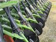 Grada rotativa - Amazone - drillkombi amazone ke 3002-150