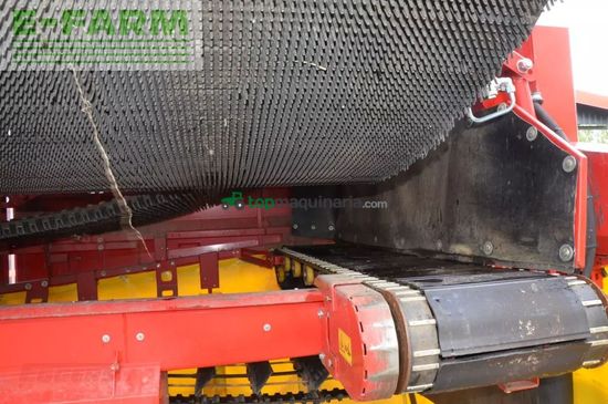Cosechadora - arrancadora de patata - Grimme - evo 290 clodsep