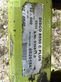 Cortacésped manual - Claas - disco 8550 c plus