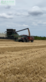 Cosechadora de Cereal - Fendt - 9490 X