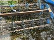 Combinado de siembra - Lemken - korund 8/600 k