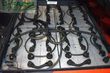 Elevadora - Linde - e 18 l evo 386-02