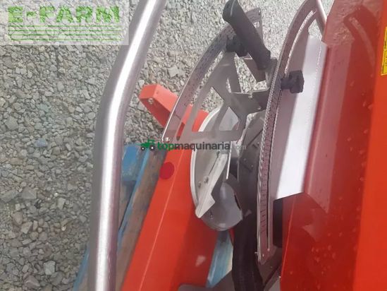 Esparcidor - Maschio - primo m 218