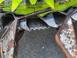 Cabezal - Claas - orbis 750 top zustand
