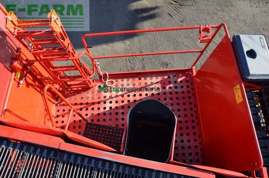 Cosechadora - arrancadora de patata - Grimme - evo 290 easysep