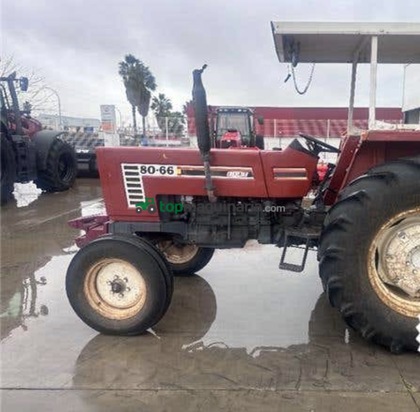 Tractor agrícola - Fiat / Fiatagri - 80 66