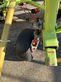 Henificador - Claas - volto 770