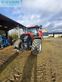 Tractor agrícola - Case IH - puma 185 multicontroller