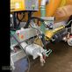 Esparcidor - Zunhammer - ske18,5pu tandem eco