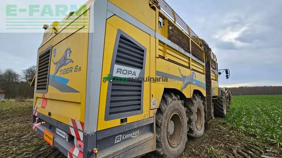 Cosechadora de Cereal - Ropa - tiger 6s tiger 6 s